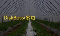 DiskBoss(多功能硬盘空间分析助手)